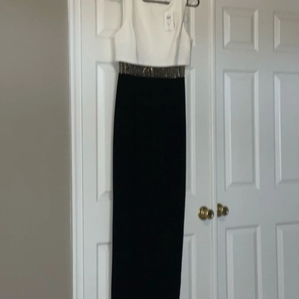Cache Evening Dress - Picture 8 of 9